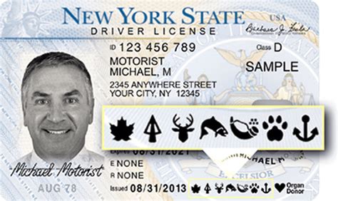 new york state hunting license.